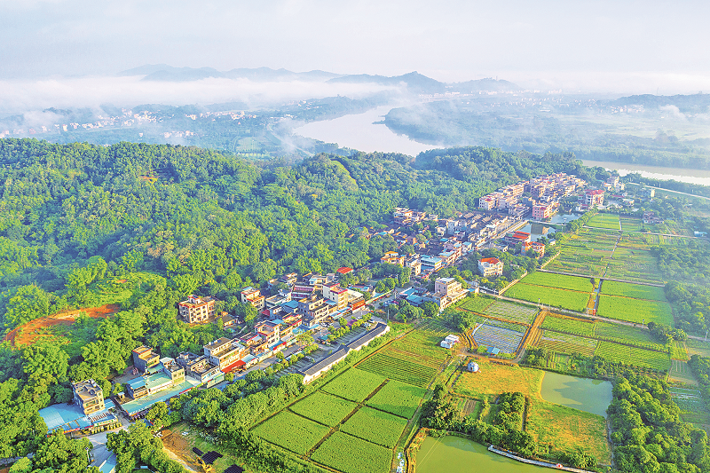 聚焦“三個關鍵” 抓好“頭號工程”增城區全力推動“百千萬工程”各項工作實現良好開局